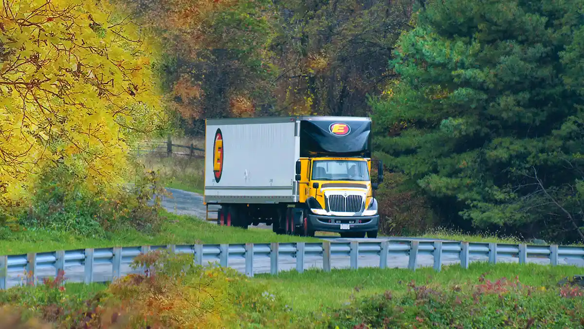 Estes Truck - Tree-Lined Road